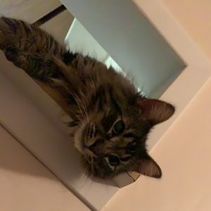 Meet your Posher, Riley